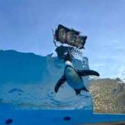 なつき おやすみ🥲💦 花夫人