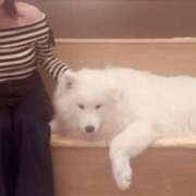 ヒメ日記 2025/04/23 08:32 投稿 ひなの コスプレ痴漢電車