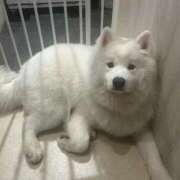 ヒメ日記 2025/04/27 21:58 投稿 ひなの コスプレ痴漢電車