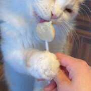 ヒメ日記 2026/02/06 22:37 投稿 ひなの コスプレ痴漢電車