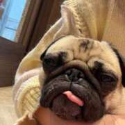 ヒメ日記 2026/03/26 09:00 投稿 ひなの コスプレ痴漢電車