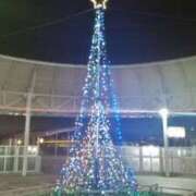 ヒメ日記 2024/12/20 07:54 投稿 さや 妻天 日本橋店