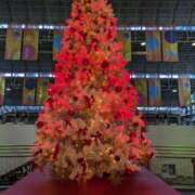 ヒメ日記 2024/12/21 19:21 投稿 さや 妻天 日本橋店