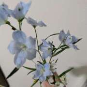 ヒメ日記 2025/01/22 07:38 投稿 さや 妻天 日本橋店