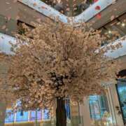 ヒメ日記 2025/03/15 07:51 投稿 さや 妻天 日本橋店