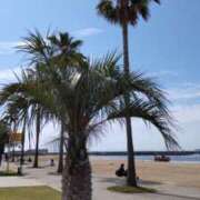 ヒメ日記 2025/06/22 07:29 投稿 さや 妻天 日本橋店