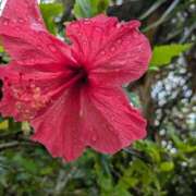 ヒメ日記 2025/08/17 18:02 投稿 さや 妻天 日本橋店