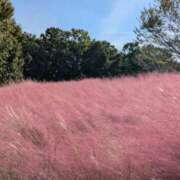 ヒメ日記 2025/10/23 07:05 投稿 さや 妻天 日本橋店