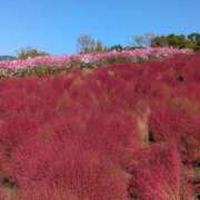 ヒメ日記 2025/11/02 07:36 投稿 さや 妻天 日本橋店