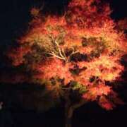 ヒメ日記 2025/11/13 19:03 投稿 さや 妻天 日本橋店