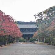 ヒメ日記 2025/11/19 07:02 投稿 さや 妻天 日本橋店