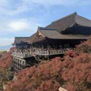 ヒメ日記 2025/11/26 07:08 投稿 さや 妻天 日本橋店