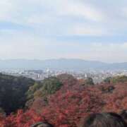 さや おはよう。 妻天 日本橋店