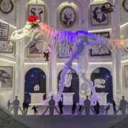 ヒメ日記 2025/12/22 20:10 投稿 さや 妻天 日本橋店