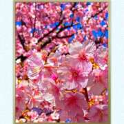 ヒメ日記 2026/02/04 07:32 投稿 さや 妻天 日本橋店