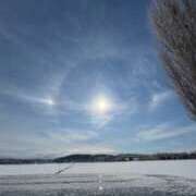 ヒメ日記 2026/02/07 07:49 投稿 さや 妻天 日本橋店