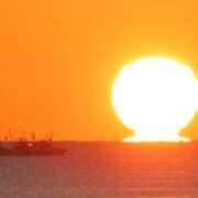 ヒメ日記 2026/02/14 07:25 投稿 さや 妻天 日本橋店