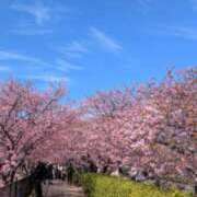 ヒメ日記 2026/02/18 07:33 投稿 さや 妻天 日本橋店