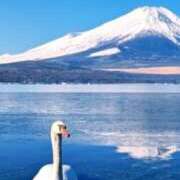 ヒメ日記 2026/02/24 07:27 投稿 さや 妻天 日本橋店