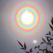 ヒメ日記 2026/03/05 07:30 投稿 さや 妻天 日本橋店