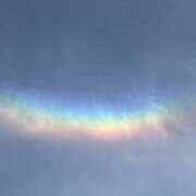 ヒメ日記 2026/03/11 07:27 投稿 さや 妻天 日本橋店