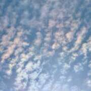 ヒメ日記 2026/03/19 07:21 投稿 さや 妻天 日本橋店