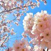 ヒメ日記 2026/03/31 19:00 投稿 さや 妻天 日本橋店