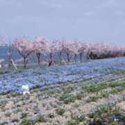 ヒメ日記 2026/04/11 07:18 投稿 さや 妻天 日本橋店