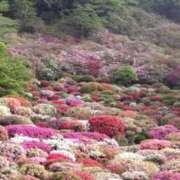 ヒメ日記 2026/04/23 07:44 投稿 さや 妻天 日本橋店