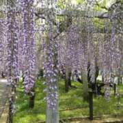 ヒメ日記 2026/04/29 07:27 投稿 さや 妻天 日本橋店