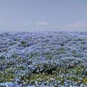 ヒメ日記 2026/05/05 07:22 投稿 さや 妻天 日本橋店