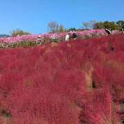 ヒメ日記 2026/10/01 07:44 投稿 さや 妻天 日本橋店