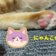 ヒメ日記 2025/02/22 18:43 投稿 あきな One More奥様　厚木店