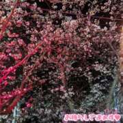 ヒメ日記 2025/03/24 18:28 投稿 あきな One More奥様　厚木店