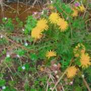 あきな 皆様 One More奥様　厚木店