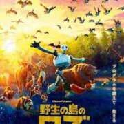 ヒメ日記 2025/02/20 20:01 投稿 ゆり ナイスディ