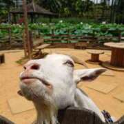 ヒメ日記 2025/09/05 11:04 投稿 エミリー 即アポ奥さん～浜松店～