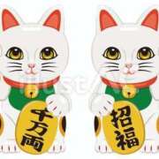 ヒメ日記 2025/02/11 15:44 投稿 夏樹姉さん 男性機能鍛錬道場