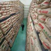 ヒメ日記 2025/02/14 10:44 投稿 夏樹姉さん 男性機能鍛錬道場