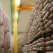 ヒメ日記 2025/03/03 10:48 投稿 夏樹姉さん 男性機能鍛錬道場