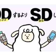 ヒメ日記 2025/03/07 10:43 投稿 夏樹姉さん 男性機能鍛錬道場