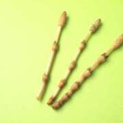 ヒメ日記 2025/03/11 15:37 投稿 夏樹姉さん 男性機能鍛錬道場