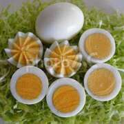 ヒメ日記 2025/06/23 10:46 投稿 夏樹姉さん 男性機能鍛錬道場