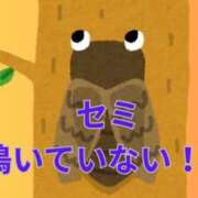 ヒメ日記 2025/07/10 10:44 投稿 夏樹姉さん 男性機能鍛錬道場