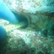 ヒメ日記 2025/08/03 10:47 投稿 夏樹姉さん 男性機能鍛錬道場