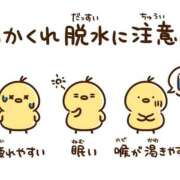 ヒメ日記 2025/08/08 15:45 投稿 夏樹姉さん 男性機能鍛錬道場