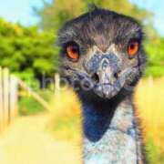 ヒメ日記 2025/09/04 15:07 投稿 夏樹姉さん 男性機能鍛錬道場