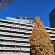 ヒメ日記 2025/09/08 11:16 投稿 夏樹姉さん 男性機能鍛錬道場