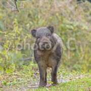 ヒメ日記 2025/11/06 16:16 投稿 夏樹姉さん 男性機能鍛錬道場