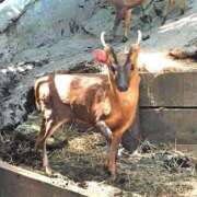 ヒメ日記 2025/11/10 12:24 投稿 夏樹姉さん 男性機能鍛錬道場